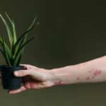 Jak stosować forever aloe vera gel dla zdrowia i piękna?